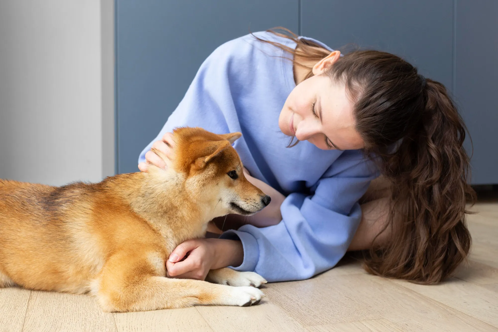 Learn tips from experts to keep your pets healthy year-round
