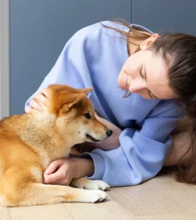 Learn tips from experts to keep your pets healthy year-round